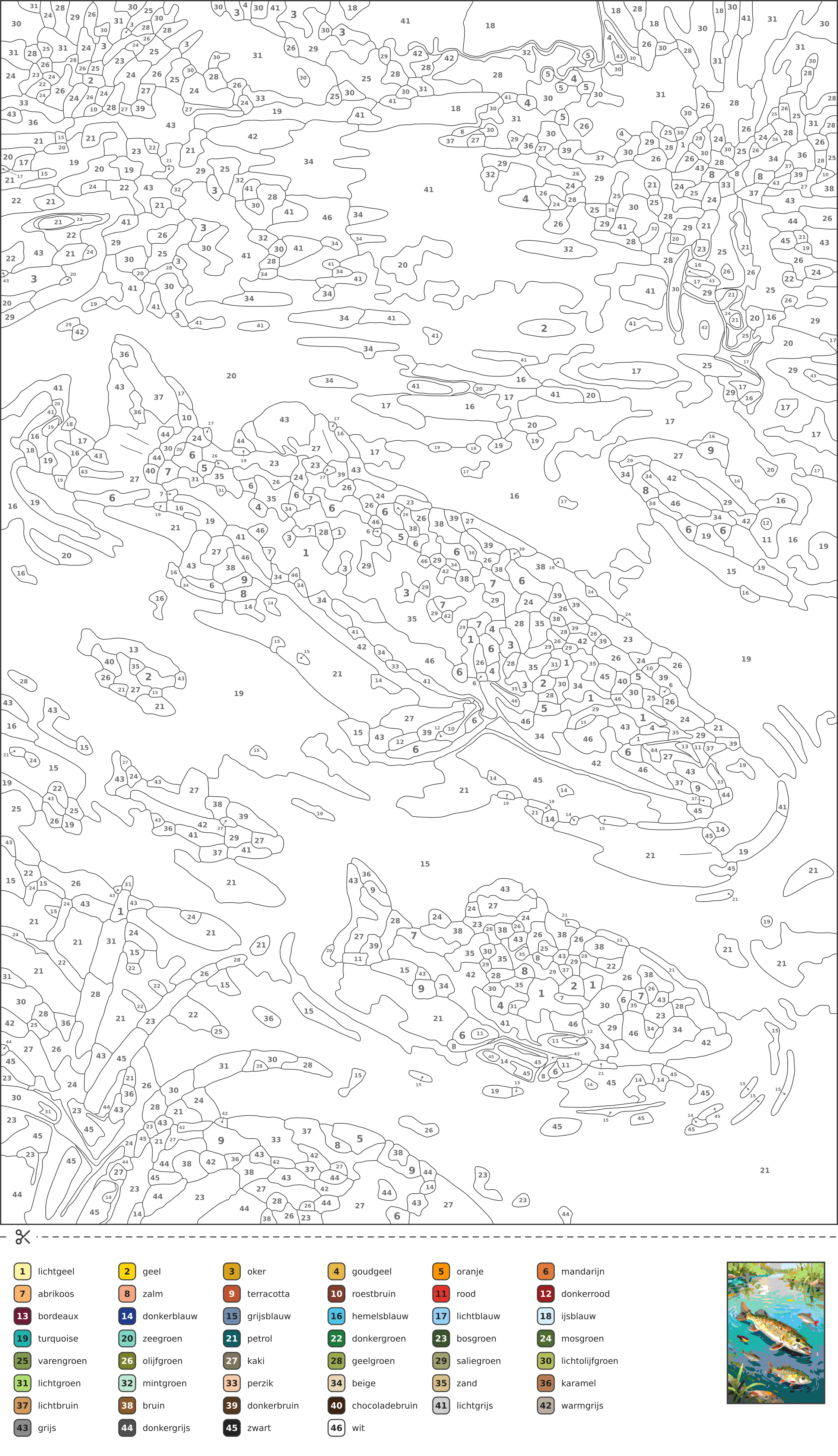 Kleurplaat met een baars, voorn, snoek, grondel en brasem die samen in een rivier zwemmen, met genummerde vakjes en een kleurenlegenda.