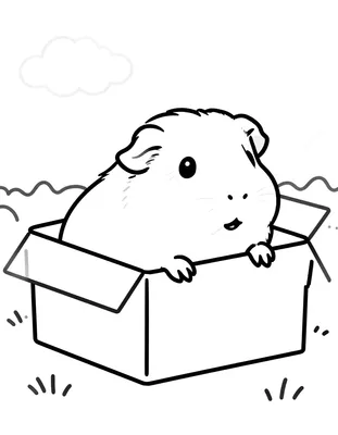 Kleurplaat van een cavia die met zijn voorpootjes over de rand van een kartonnen doos gluurt, met op de achtergrond een wolk en graspollen.