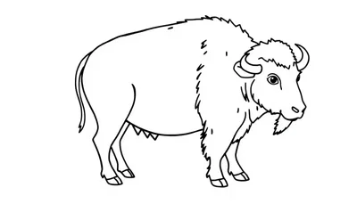 Kleurplaat van een buffel.