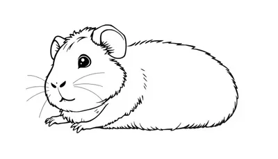 Een kleurplaat van een schattige cavia om in te kleuren.