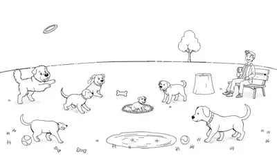 Kleurplaat van een hondenpark met spelende honden, een man op een bankje en verschillende speeltjes.