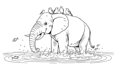 Kleurplaat van een olifant in het water met vogels op zijn rug en vissen in de vijver.