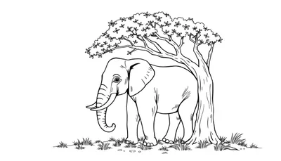 Een olifant onder een boom als kleurplaat.