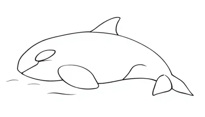 Een zwart-wit kleurplaat van een orka die op het strand ligt alsof hij ligt te zonnebaden.
