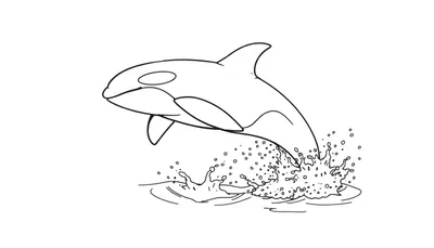 Kleurplaat van een springende orka boven opspattend water.
