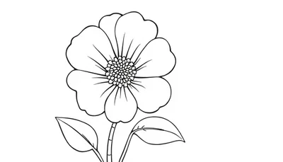 Lijntekening van een bloem met vijf ronde bloembladen en een rechte stengel met twee bladeren, geschikt voor een kleurplaat.