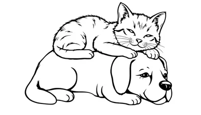 Kleurplaat van een kat die knuffelt met een hond.