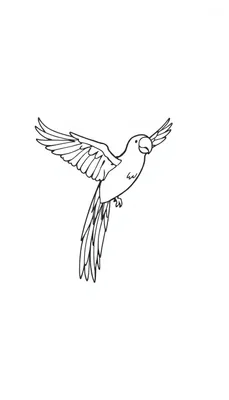 Een lijntekening van een vliegende papegaai als kleurplaat, met wijd uitgespreide vleugels en een kromme snavel.