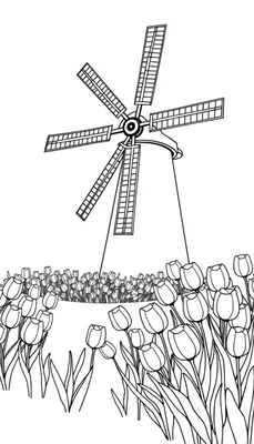 Kleurplaat van een klassieke Nederlandse windmolen met een veld tulpen op de voorgrond.