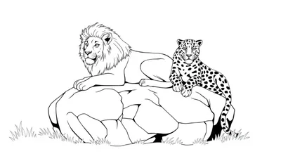 Kleurplaat van een leeuw en een jaguar die samen op een grote rots liggen, omringd door gras.