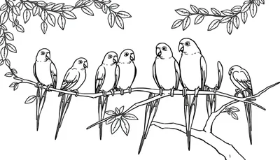 Kleurplaat van zeven vogels op takken met bladeren, klaar om ingekleurd te worden.