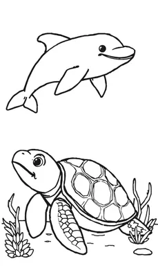 Zwart-wit kleurplaat van een vrolijke dolfijn die zwemt en een schildpad op de zeebodem met planten en stenen, klaar om ingekleurd te worden.