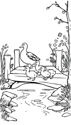 Kleurplaat van een moeder eend met vier eendjes die over een houten brug lopen, omgeven door bloemen, gras en een boomtak met bloesem.