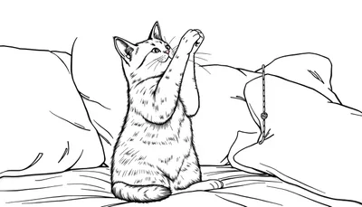 Kleurrijke kleurplaat van een kat op bed met haar poten omhoog en een touw als speeltje