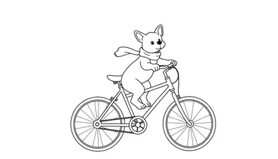 Kleurplaat van een hondje op een fiets met een wapperende sjaal.