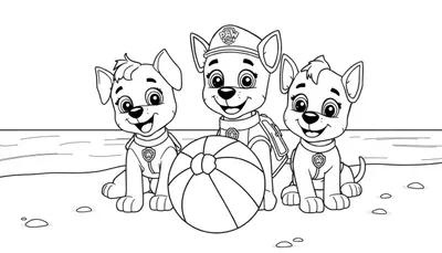 Kleurplaat van drie vrolijke Paw Patrol hondjes op het strand met een strandbal en een water- en zandachtergrond.