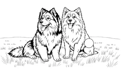 Een kleurplaat van twee speelse lachende honden met pluizige vachten die naast elkaar zitten op het gras. Eén hond heeft donkere vlekken en de ander ligt naast een speelbal.
