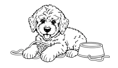 Schattige Labradoodle puppy kleurplaat met lachend gezicht en hondenbak.