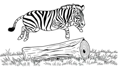 Een zebra met tijgerkop, klaar om als kleurplaat te gebruiken!