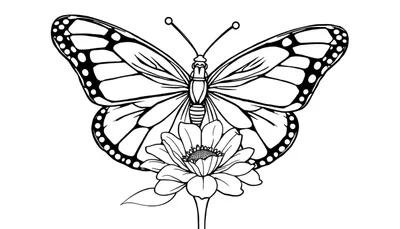 Zwart-witte kleurplaat van een gedetailleerde vlinder op een bloem.