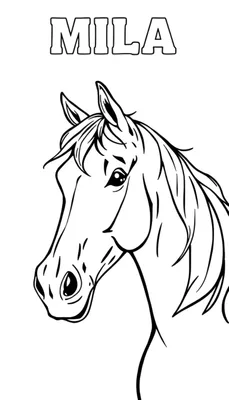 Kleurplaat van het hoofd van een paard genaamd Mila, met gedetailleerde manen en een vriendelijke uitdrukking.