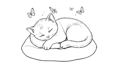 Slapend Kitten met Vlinder Vriendjes Kleurplaat