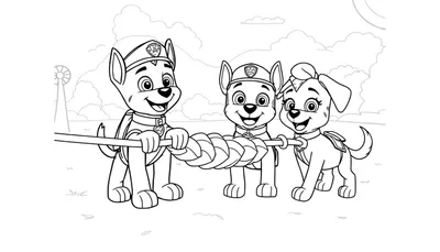 Paw Patrol puppy's kleurplaat met touw