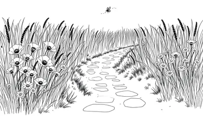 Kleurplaat van een zomerse weide met een pad, klaprozen, margrieten en vliegende insecten.