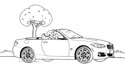 Zwart-wit kleurplaat van een vrouw in een BMW cabriolet in de natuur.