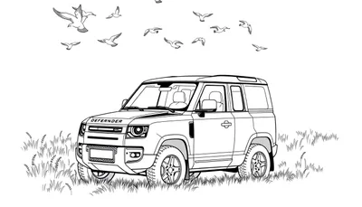 Een zwart-wit kleurplaat van een Land Rover Defender in een grasveld met vogels in de lucht.