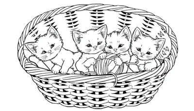 Een zwart-wit kleurplaat van vier schattige kittens in een rieten mand, die spelen en nieuwsgierig zijn.