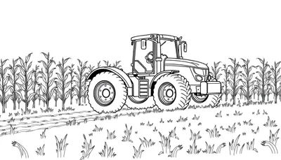 Kleurplaat van een tractor die door een maïsveld rijdt.