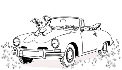 Een zwart-wit kleurplaat van een oldtimer cabriolet met twee honden, geparkeerd in een weide vol madeliefjes.