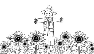 Lijntekening van een kindvriendelijke kleurplaat met zonnebloemen en een vrolijke vogelverschrikker in graanvelden.