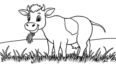Kleurplaat van een lachende koe die gras eet in een weiland.