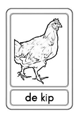 Zwart-wit kleurplaat van een kip met de tekst 'de kip' eronder, geschikt voor educatieve doeleinden.