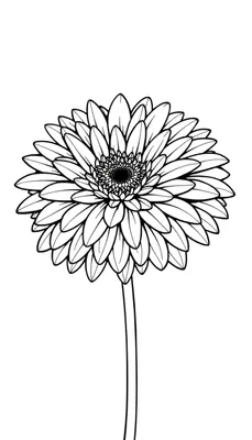 Close-up van een gestileerde, zwart-witte lijntekening van een gerbera bloem met veel kleurvakjes.