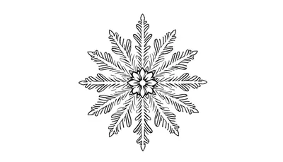 Zwart-wit gestileerde sneeuwvlok kleurplaat met acht bladvormige vertakkingen en een bloemvormig patroon in het midden.