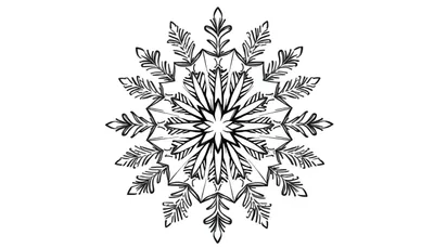 Gestileerde sneeuwvlok kerstmandala kleurplaat met 12 varenblad punten op witte achtergrond.
