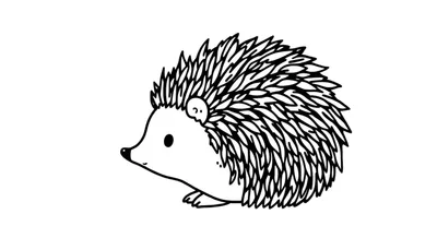 Zwart-wit kleurplaat van een egel met gedetailleerde stekels, kijkend naar links.