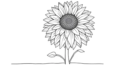 Gestileerde zonnebloem kleurplaat in zwart-wit, met open bloemblaadjes en een gedetailleerd hart, op witte achtergrond met grondlijn.