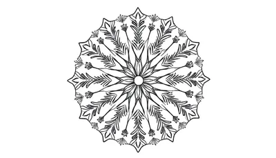 Zwart-witte mandala kleurplaat met fijne lijnen die doen denken aan een sneeuwvlok, bladeren en bloemen, stralend vanuit het midden.