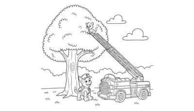 Kleurplaat van Paw Patrol's Marshall die een vrolijke kat redt uit een boom met een brandweerwagenladder. Gras en wolken op de achtergrond.