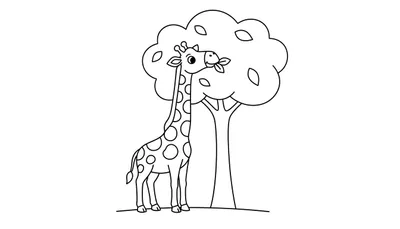 Eenvoudige lijntekening van een giraffe met lange nek en vlekken, staand naast een boom en een blad etend. Een makkelijke kleurplaat.