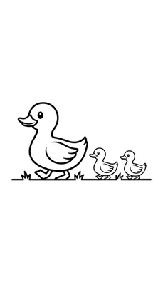 Kleurplaat van een moeder eend die voorop loopt met twee kuikentjes in een rij op gras.