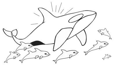 Kleurplaat van een orka met zwart-witte patronen, omringd door zeven dolfijnen van verschillende groottes. Kleine streepjes rond de orka symboliseren beweging of geluid.