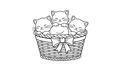 Zwart-wit lijntekening van drie kleine katjes die gesloten oogjes en snorharen hebben, knus zittend in een geweven mand met een strik. Een katje heeft zijn pootjes over een rond object.