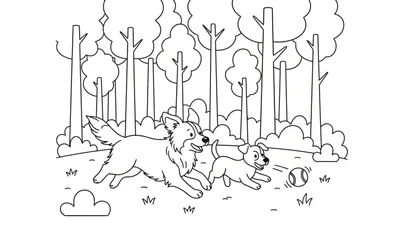 Kleurplaat van twee blije honden, een grotere en een kleinere, die samen rennen en spelen met een bal in een bosrijk park.