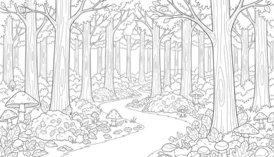 Zwart-wit lijntekening van een bospad dat zich slingert door een dicht bos, met bomen, struiken en paddenstoelen.