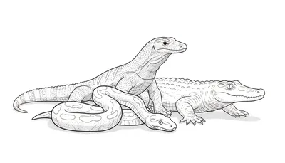 Kleurplaat met een grote varaan, een opgerolde slang en een krokodil, gedetailleerd getekend met schubben en stippelwerk.